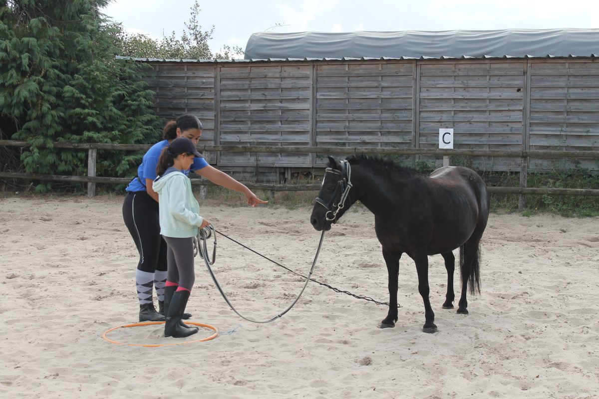 Classe pleine nature Domaine de l Espérance Vacances à Cheval et à